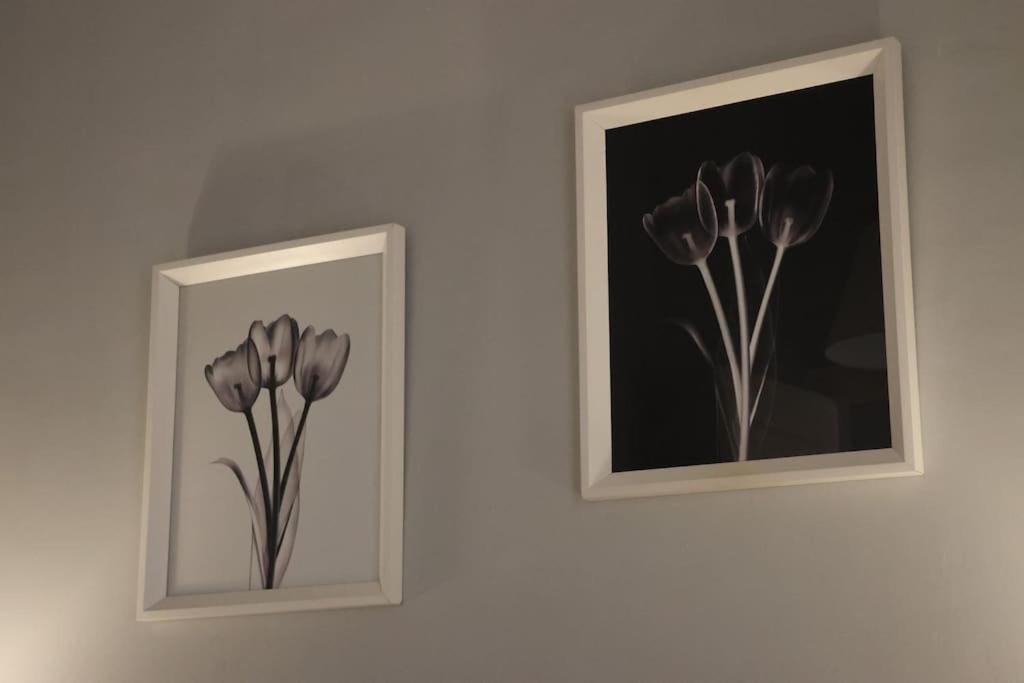 Cms Pena Historical Building Apartment Malaga Bagian luar foto